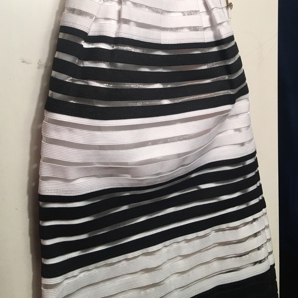 NWT Elegant Stripe Sheer Skirt - Picture 4 of 7